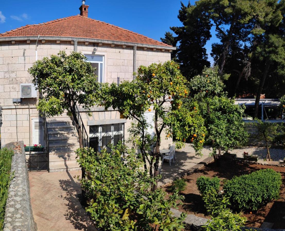 Villa Arancia Ντουμπρόβνικ Εξωτερικό φωτογραφία
